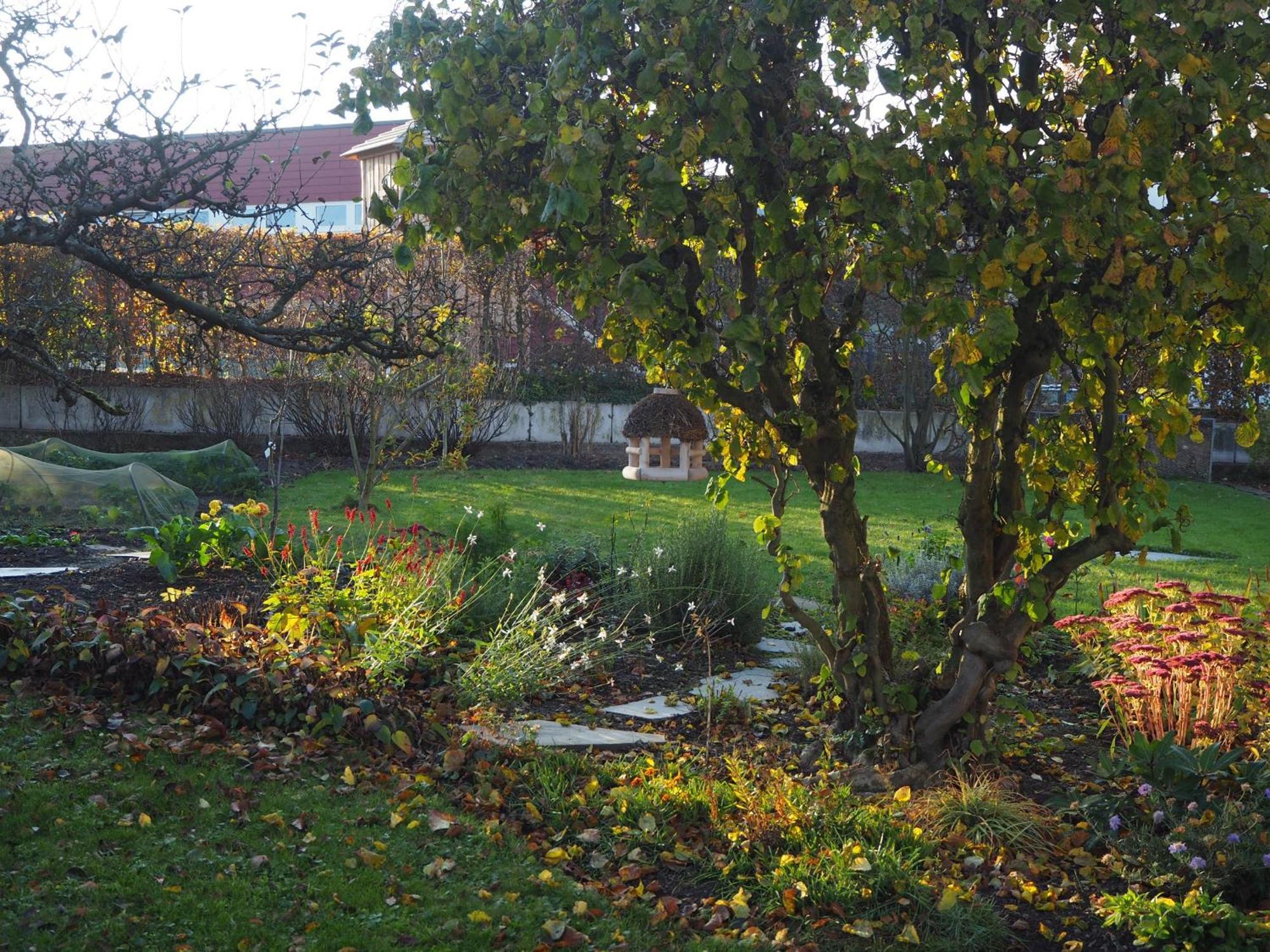 Haus Marianne Apartment Arnsberg Luaran gambar